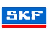 Vòng bi SKF