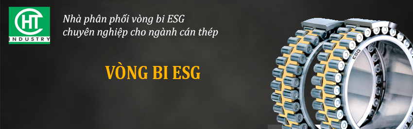 Vòng bi ESG